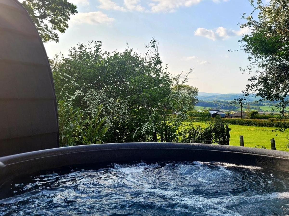 Apartamento Odli Glamping - Deri Welshpool Exterior foto