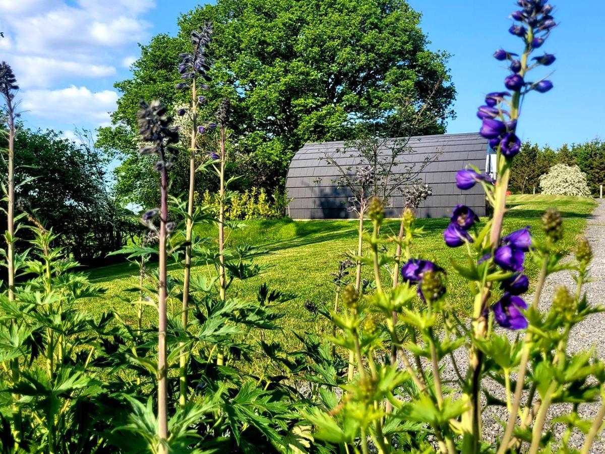 Apartamento Odli Glamping - Deri Welshpool Exterior foto